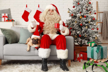 Celebrating a Joyful Christmas with Your Beloved Pet