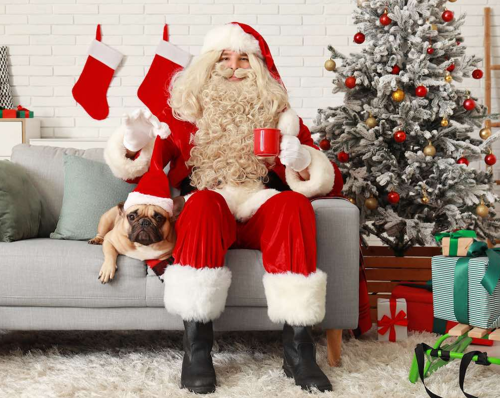 Celebrating a Joyful Christmas with Your Beloved Pet