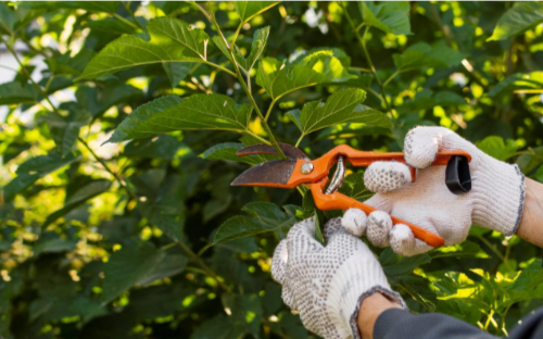 Constructing Success: Tailoring Professional Spaces for Business Needs